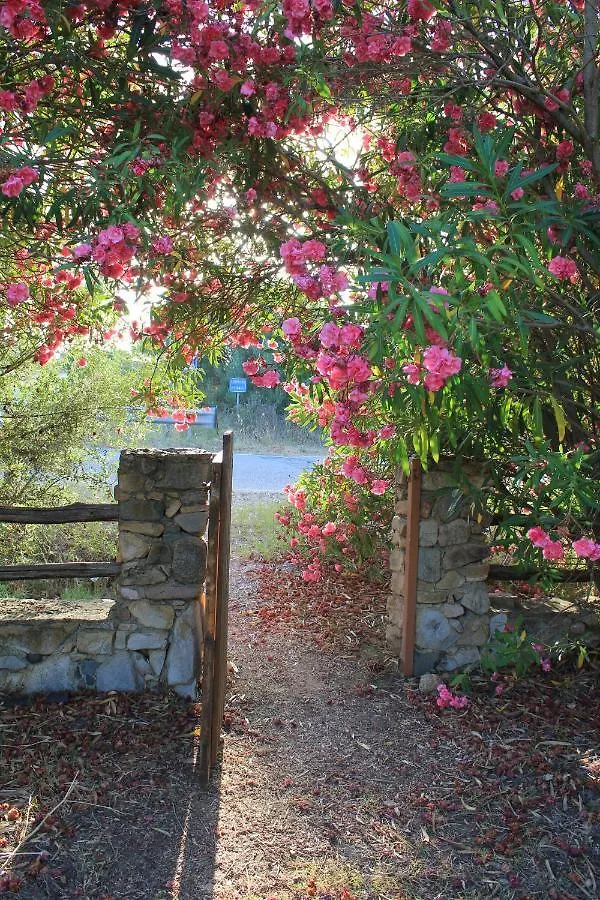 Villa Antonella Villasimius Holiday home